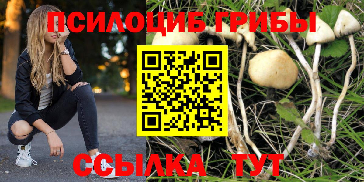 Псилоцибиновые грибы прущие грибы Волжский