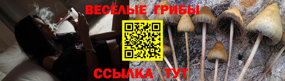 Волжский  Псилоцибиновые грибы мухоморы  Вход с VPN 