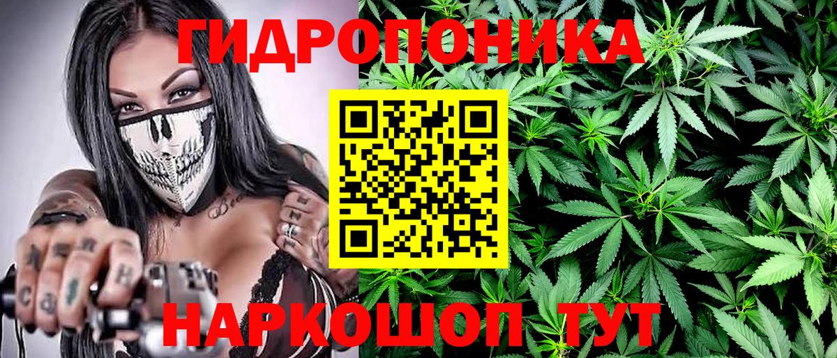 Волжский  МАРИХУАНА MAZAR  Каннабис Bruce Banner  Вход с VPN  Шишки марихуана план  Марихуана сатива 